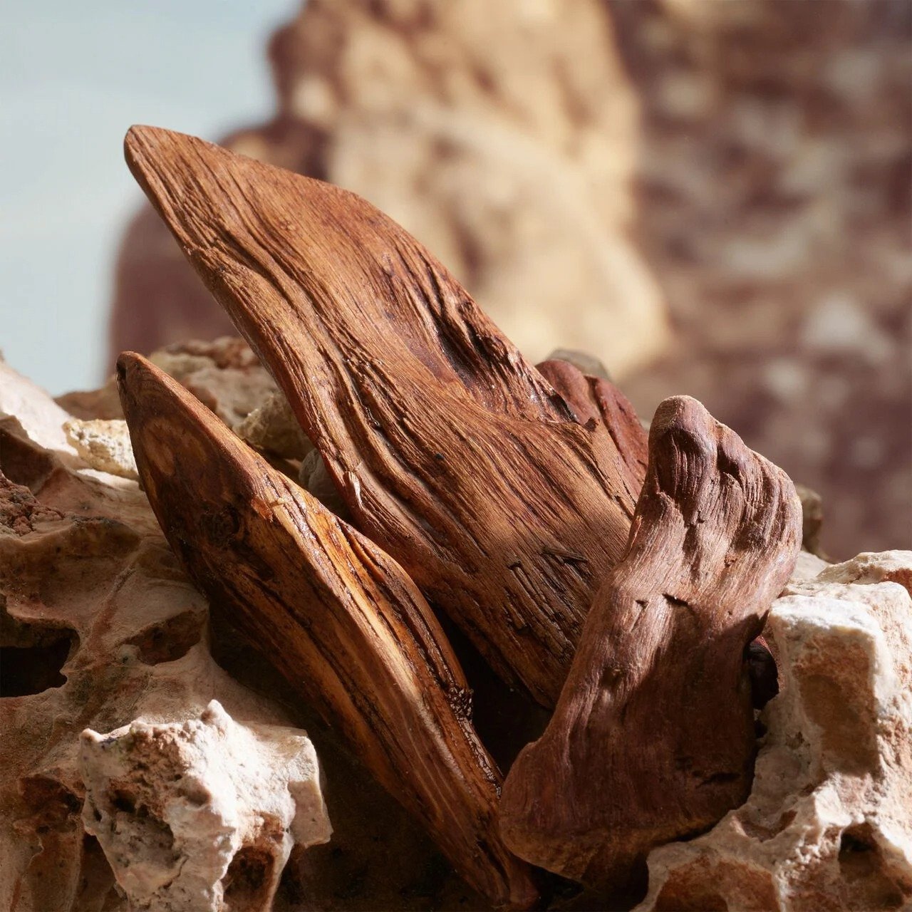 Parfum Homme Dolce & Gabbana King – Élégance Italienne & Charisme | STORE 16 – Image 6